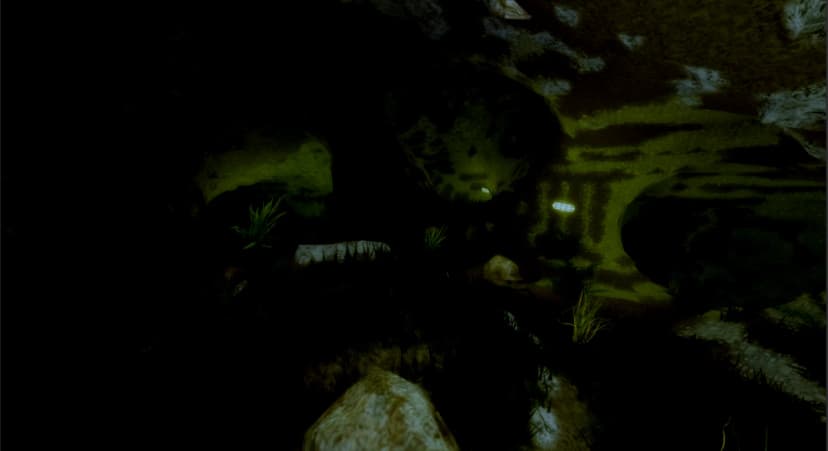 Underwater Cave System