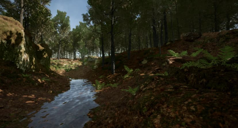 Realistic Forest Stream Map